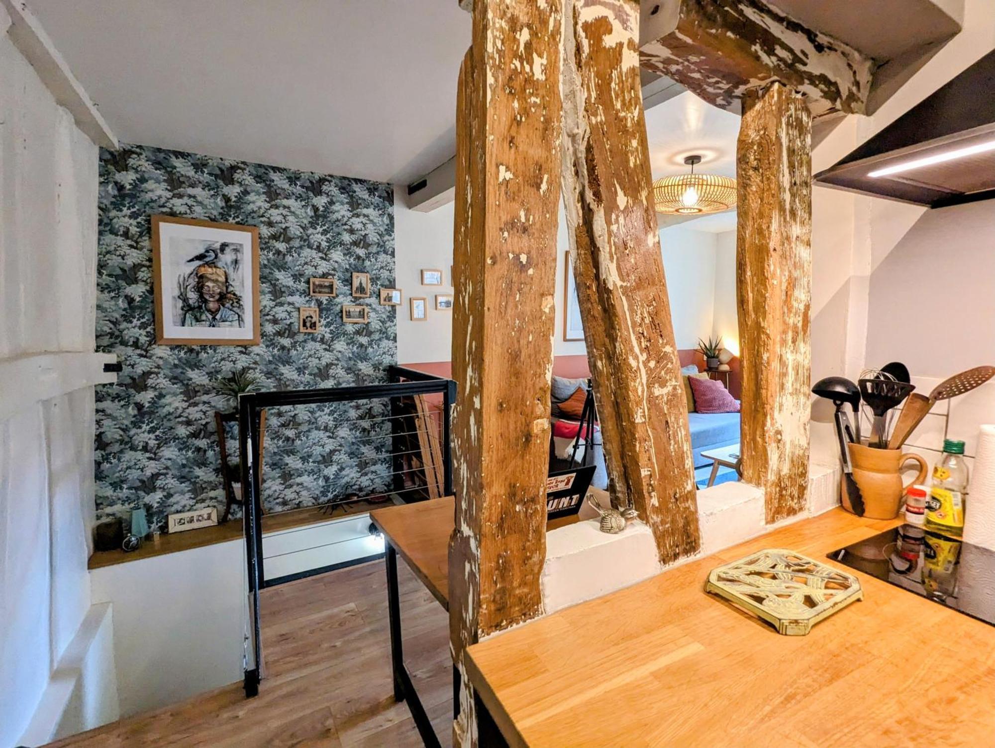 Artist Home - City Center - Bathtub - Terrasse - Full Appartment Rouen Luaran gambar